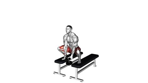 Dumbbell Sumo Squat Off Benches Video Guide Tips