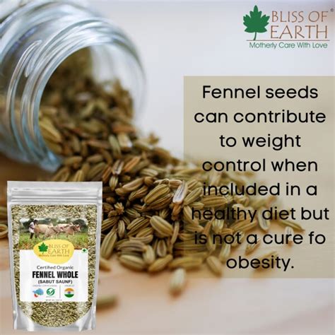 Bliss Of Earth Certified Organic Fennel Seed Saunf Indian Spice