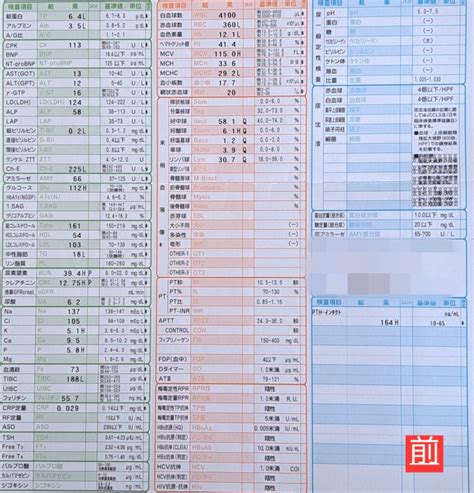 【2024年5月】在宅血液透析外来報告（在宅血液透析支援システムの現状と課題） 腎生を善く生きる~在宅血液透析患者のリアル~