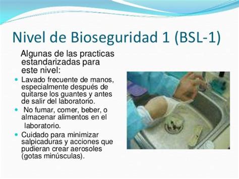 Bioseguridad