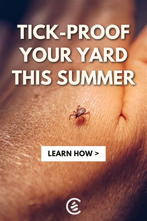 How To Tick Proof Your Yard In 3 Steps Artofit