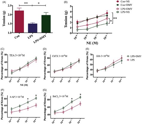 Maxik And K Atp Channels In Vascular Smooth Muscle Cells Played A