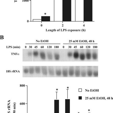 Chronic Ethanol Exposure Increases LPS Stimulated TNF Production RAW