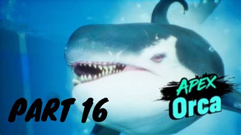 PC APEX ORCA VS ELDER SHARK IN MANEATER Walkthrough Gameplay Part 16