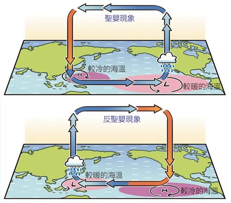 聖嬰 反聖嬰 聯手影響颱風強度與路徑─科學─科學新知20221130──財團法人國語日報社