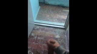 DolceVito7 S Porn Videos Pornhub