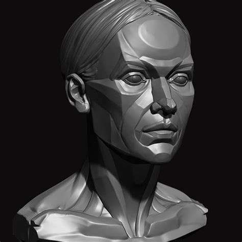 Facial Anatomy Head Anatomy Anatomy Drawing Anatomy Art Female Face