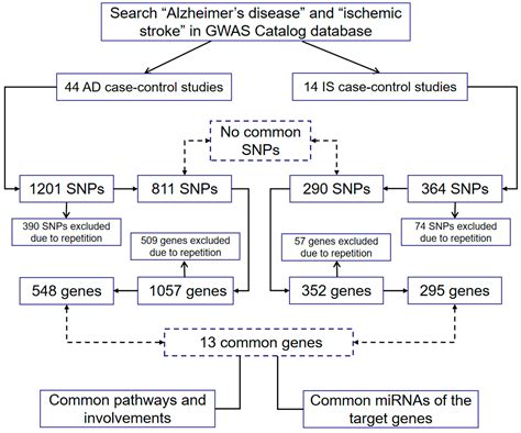 Genes Free Full Text Common Genetic Factors And Pathways In