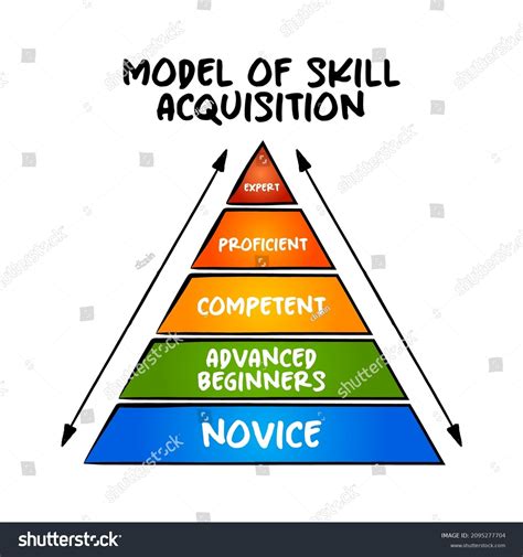 Model Skill Acquisition Model How Learners Stock Vector Royalty Free