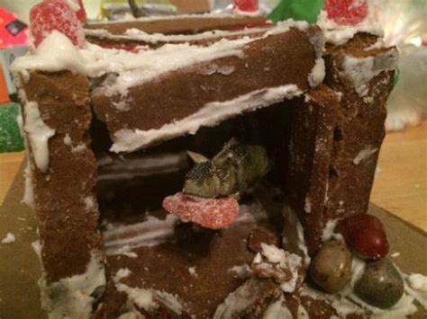 5 Hilarious Gingerbread House Fails