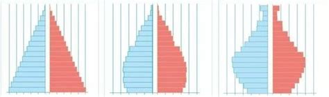 La Demografía De México