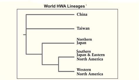 FAQ about Hemlocks and Hemlock Woolly Adelgids - Biocontrol of Hemlock