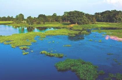 Majuli: The World's Biggest River Island