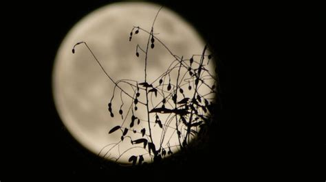 Luna Del Cazador Cu Ndo Es Y C Mo Observar La Primera Luna Llena Del Oto O