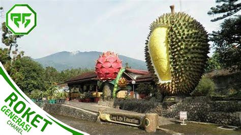 Desa Wisata Durian Terbaik Di Indonesia Youtube