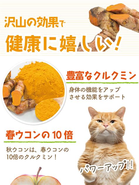 【楽天市場】犬・猫の肝臓に無添加 サプリぽかぽか ウコン 30g有機 秋ウコン【送料無料】：犬のご飯とケーキのドッグダイナー