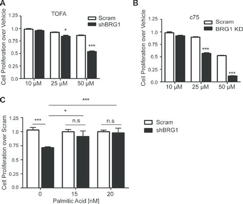 Fatty Acid Levels Regulated Breast Cancer Cell Proliferation Ab