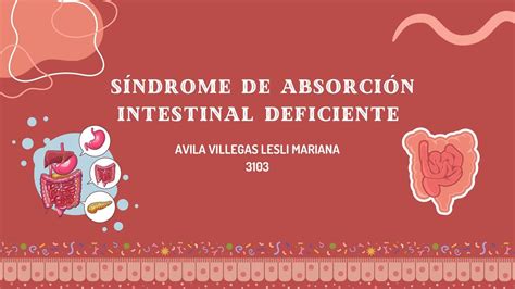 Síndrome de absorción intestinal deficiente IOVANNY CRUZ OJEDA uDocz