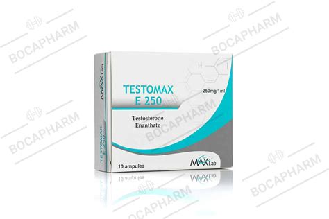 Max Lab Testomax E 250 Testosterone Enanthate Bocapharmis