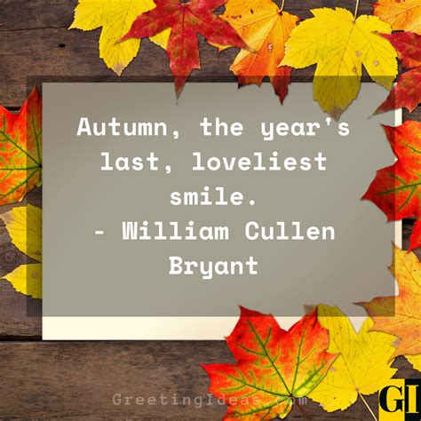 60 Happy Fall Autumn Quotes To Bring Positive Vibes