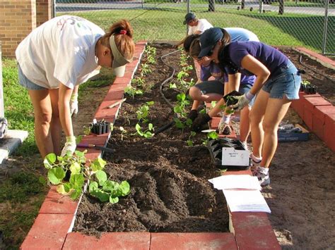 Cómo Preparar La Tierra Para Cultivo Organic Gardening Gardening Tips Compost Garden Beds