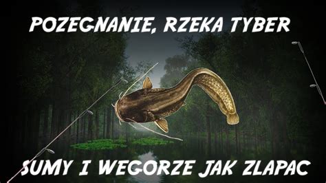 Fishing Planet Po Egnanie Rzeka Tyber Medalowe Sumy I W Gorze Jak