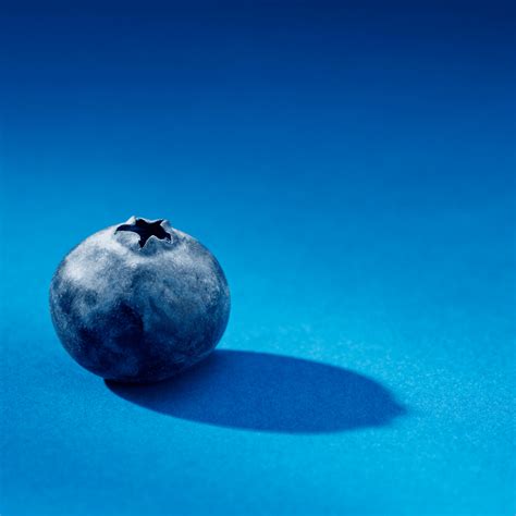 What Is Blueberry Seed Oil Dry Skin Love Skincare