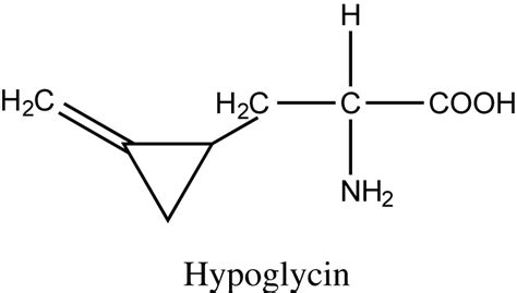 Solved Chapter 23 Problem 17P Solution Biochemistry Loose Leaf