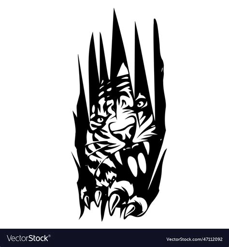 Tiger head scratch element image Royalty Free Vector Image