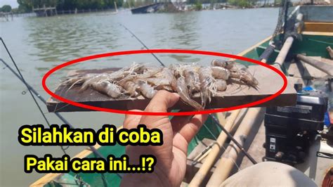 Bisa Putus Tangan Saya Kalo Di Pegang Pemancing Malah Pada Kaget