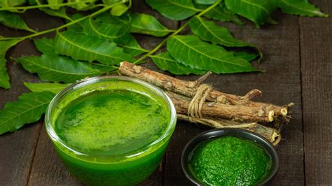 Know How To Use Neem Leaves For Skin Care जानिए त्वचा संबंधी समस्याओं के लिए कैसे करना है नीम