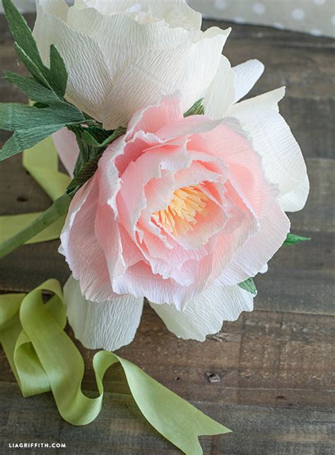 Diy Crepe Paper Peonies