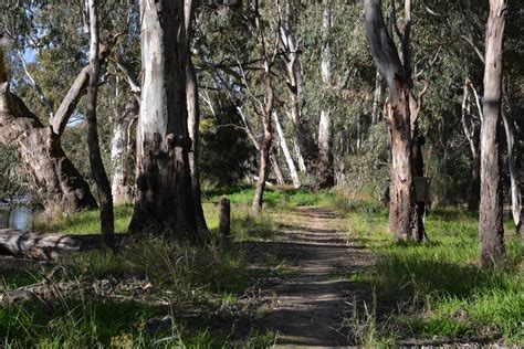 Drives Visit Darlington Point