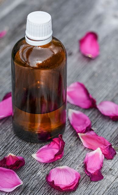 Olio Di Rosa Canina Le Propriet Cosmetiche Https Conbellezza