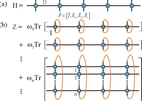 Figure 1 From Series Expansion Thermal Tensor Network Approach For