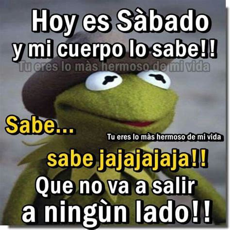 Hoy Es Sabado Y Mi Cuerpo Lo Sabe Funny Quotes Work Humor Humor