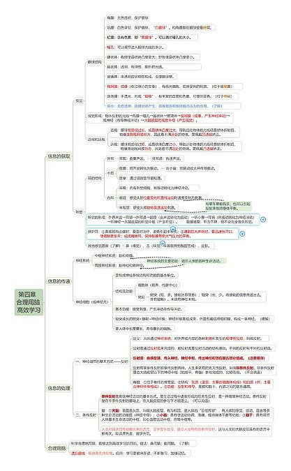 第四章 合理用脑 高效学习思维导图编号c3836018 Treemind树图