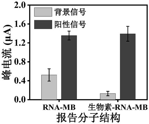 一种基于rpa与crisprcas的电化学核酸检测传感元件及检测方法与流程