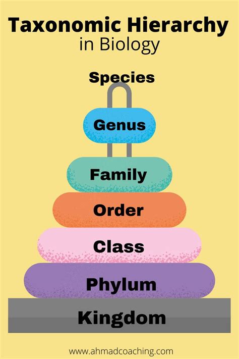 Hierarchy Of Biological Classification Biology Teaching Biology