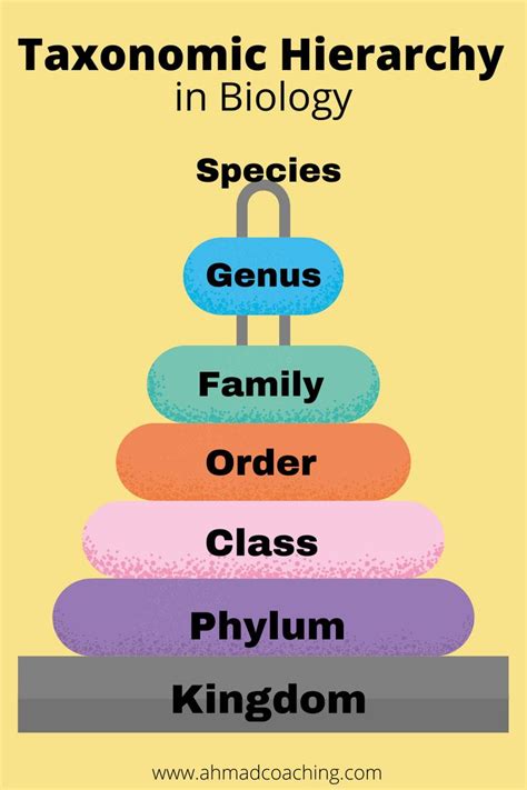 Hierarchy of Biological Classification | Biology, Teaching biology ...