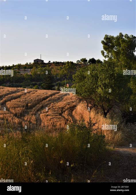 Campagna Siciliana Country In Sicily Stock Photo Alamy