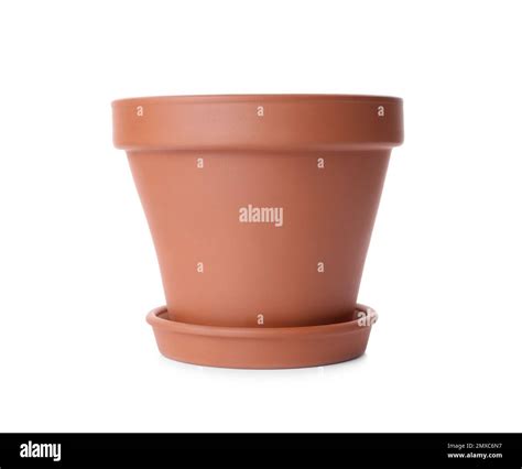 Stylish Terracotta Flower Pot With Saucer Isolated On White Stock Photo