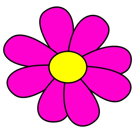 Fúcsia Fofa Flor 23265414 Png