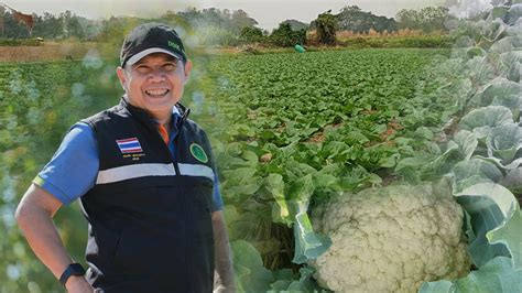 กรมส่งเสริมการเกษตร แนะนำ ‘5 วิธีดูแลพืชผักในช่วงฤดูหนาว เรื่อง