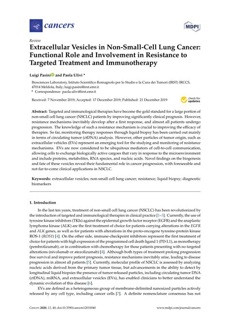 Pdf Extracellular Vesicles In Non Small Cell Lung Cancer Functional