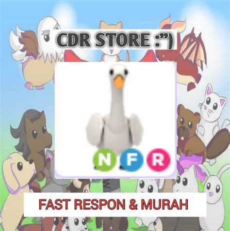 Beli Item Adopt Me Pet Adoptme Swan Nfr Roblox Terlengkap Dan