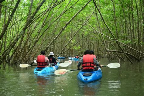 Reserva De La Biosfera Los Petenes Un Para So De Ecoturismo En Campeche