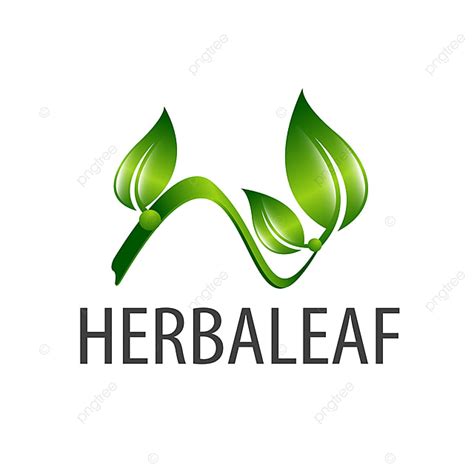 Graphic Design Concept Vector Art Png Herbal Leaf Stem Leaves Logo