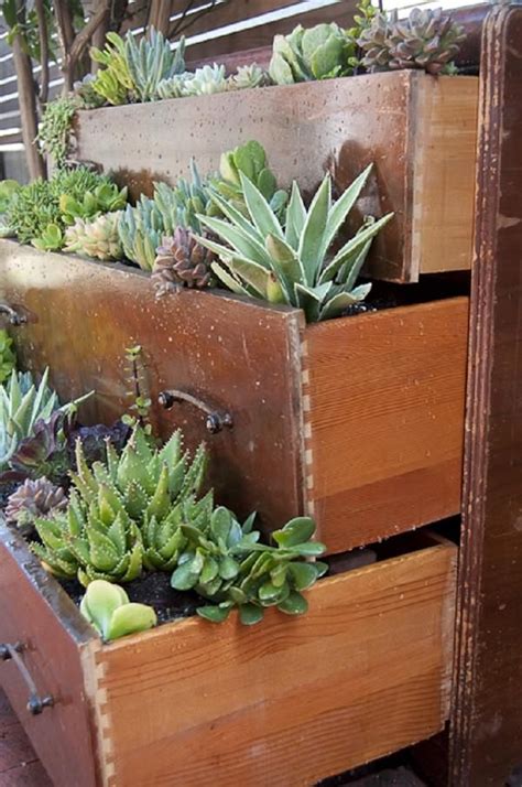 Be Creative With The Colorful Succulents When Arranging Them Learn These 37 Diy Succulent