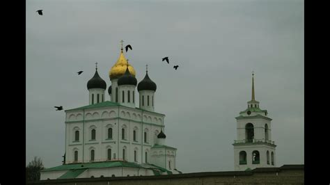 Роза спрей золотые купола фото и описание